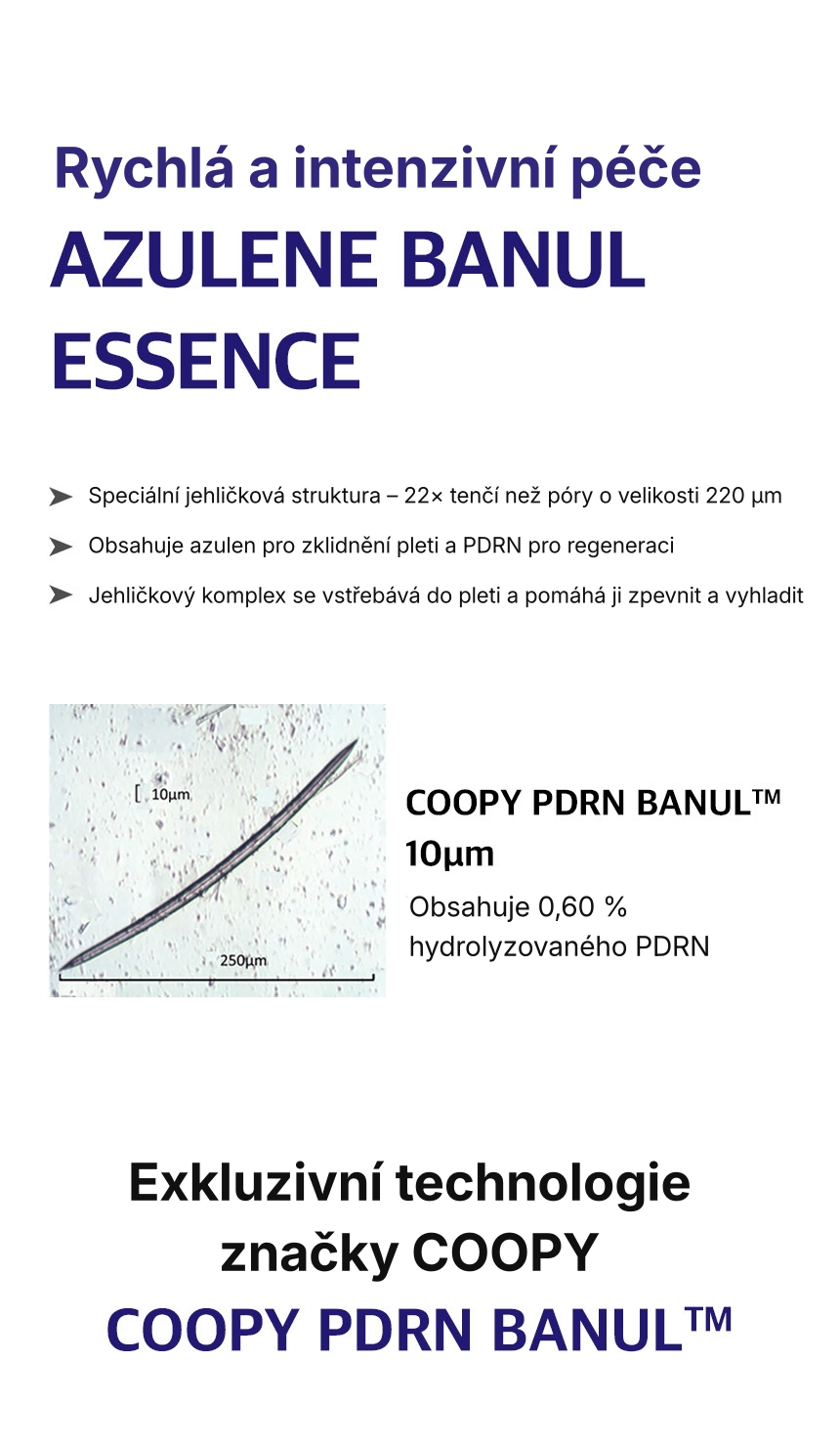 1.2. Detailed Page COOPY Azulene Banul Essence